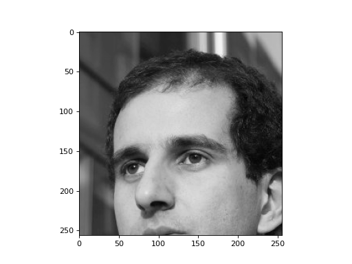 _images/wavelets-1.png
