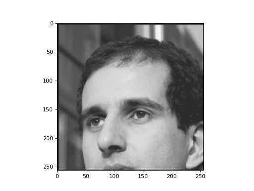 _images/wavelets-5.png